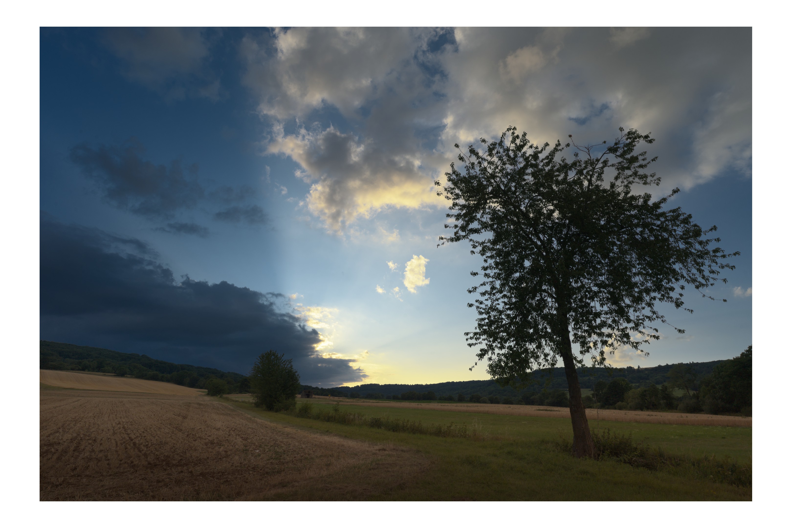 Nikon Z6III with Nikkor 20mm f/1.8 S